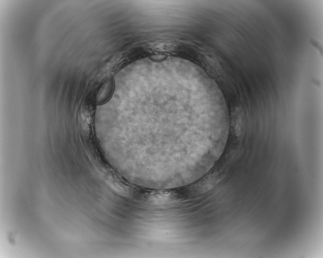 X0000102280235200808151936