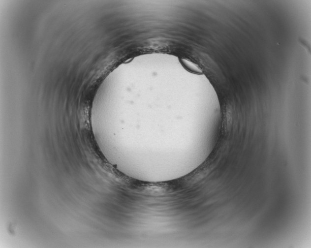 X0000102280236200808151936