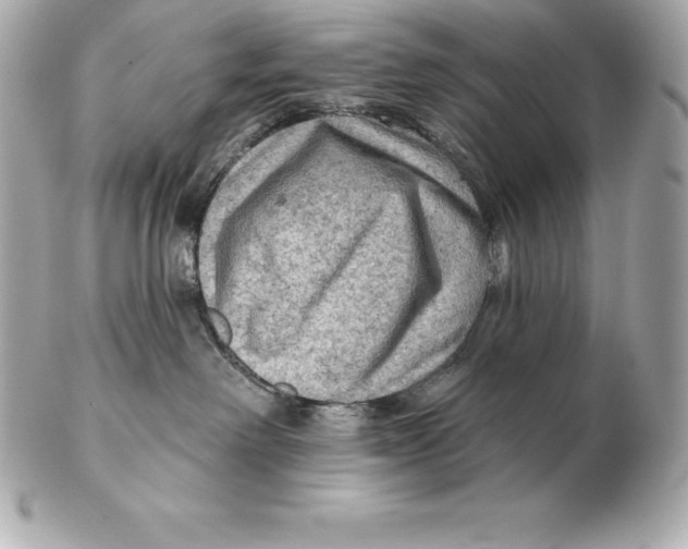 X0000102280238200808151936
