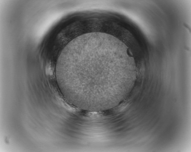 X0000102280239200808151936