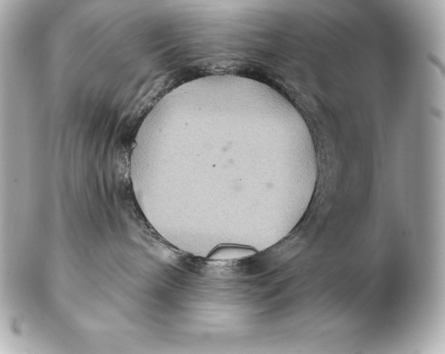 X0000102280240200808151936
