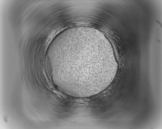X0000102280241200808151935