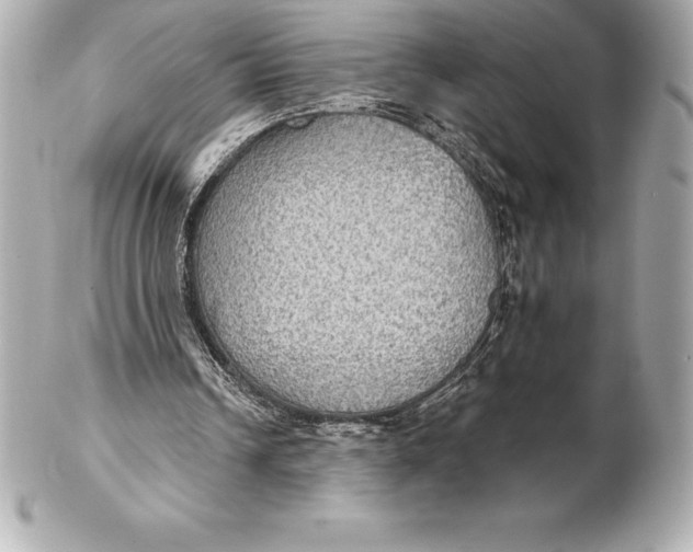 X0000102280242200808151935