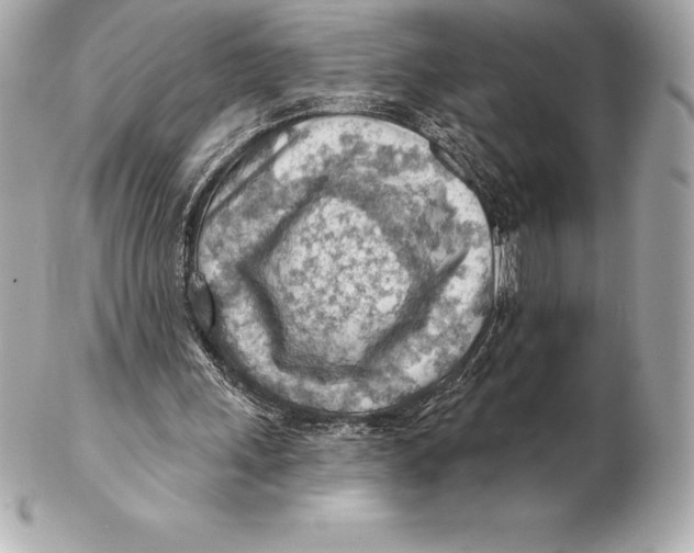 X0000102280243200808151935