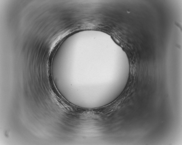 X0000102280244200808151935