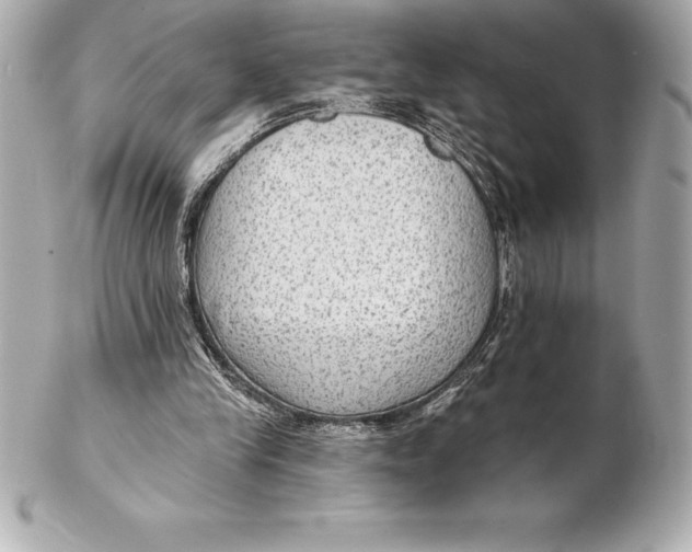X0000102280245200808151935