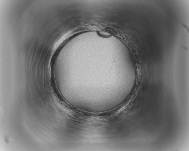 X0000102280246200808151935