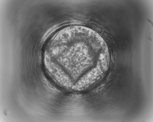 X0000102280247200808151935