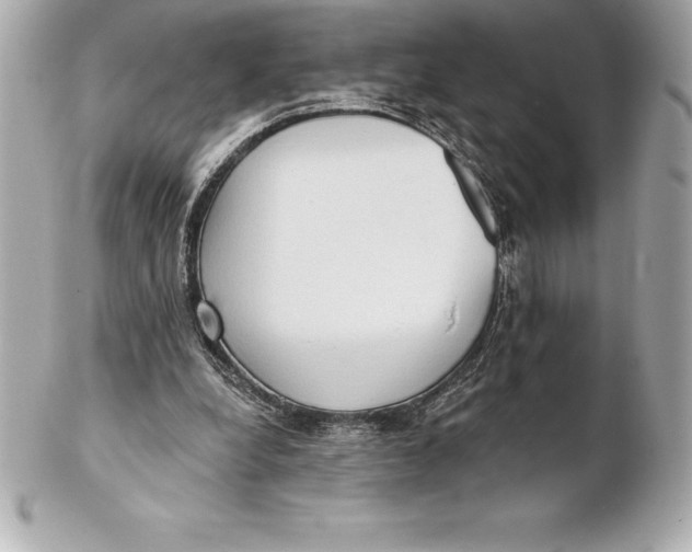 X0000102280248200808151935