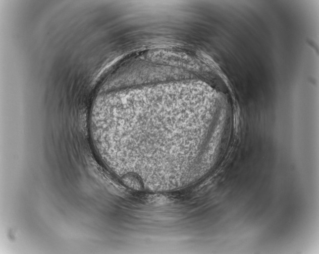 X0000102280249200808151935
