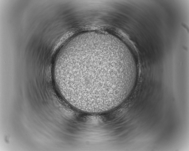X0000102280250200808151935