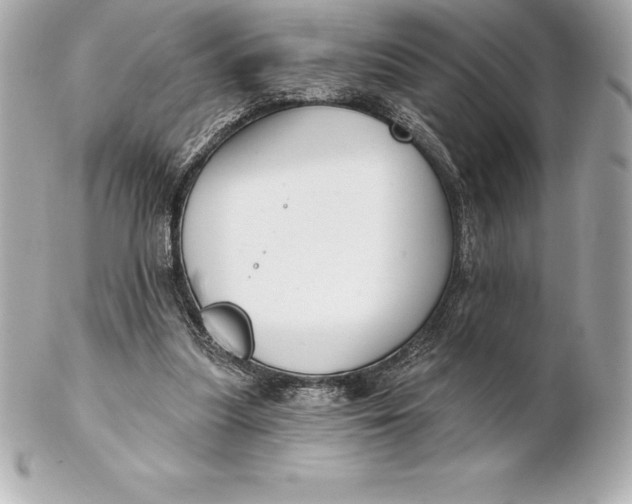 X0000102280251200808151935