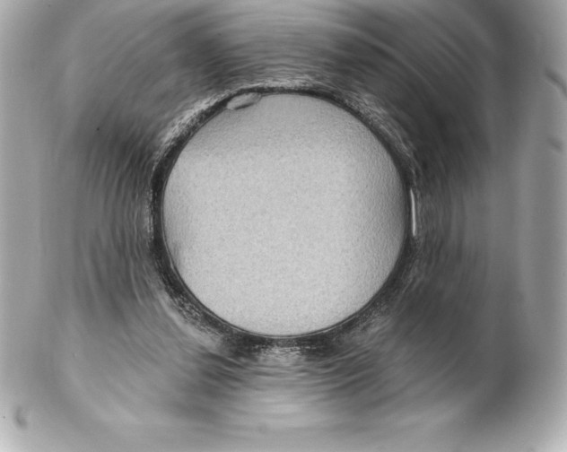 X0000102280252200808151935