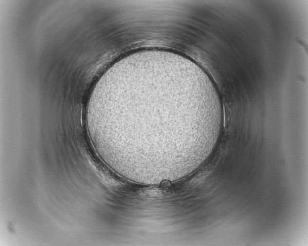 X0000102280253200808151935