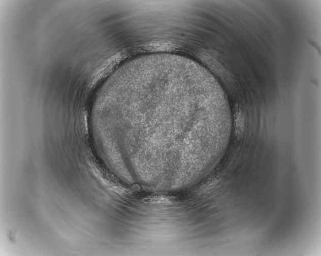 X0000102280254200808151935