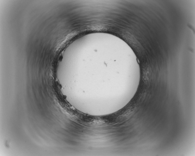 X0000102280256200808151935