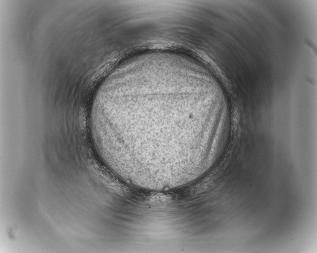 X0000102280257200808151935