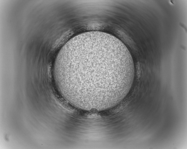 X0000102280258200808151935