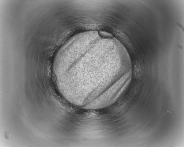 X0000102280259200808151935