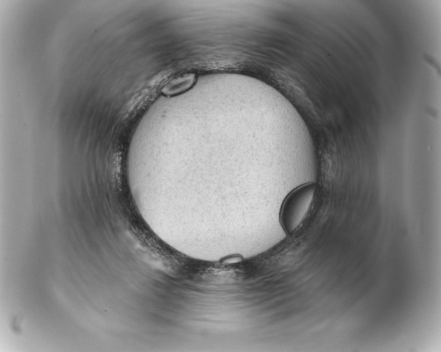 X0000102280260200808151935