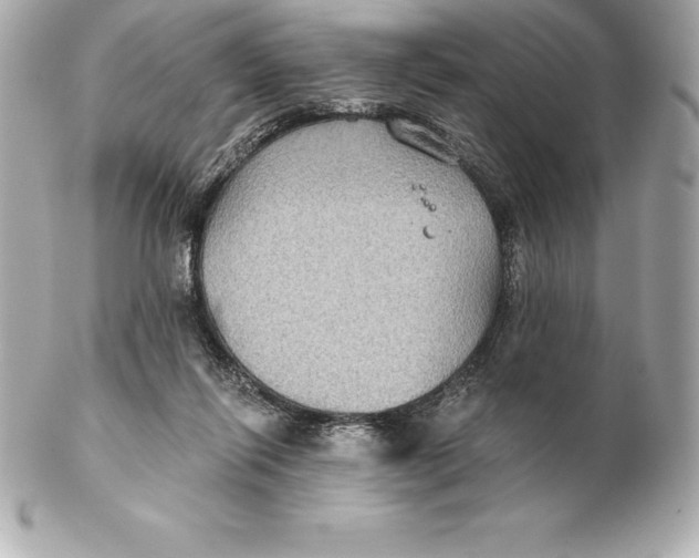 X0000102280262200808151935