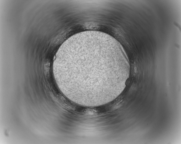 X0000102280263200808151935