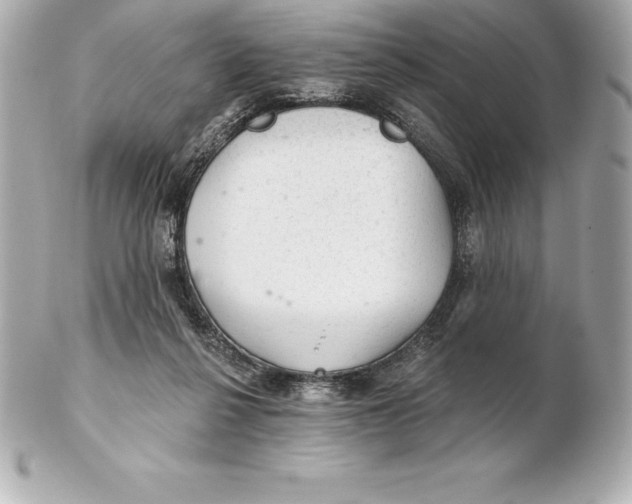 X0000102280264200808151935