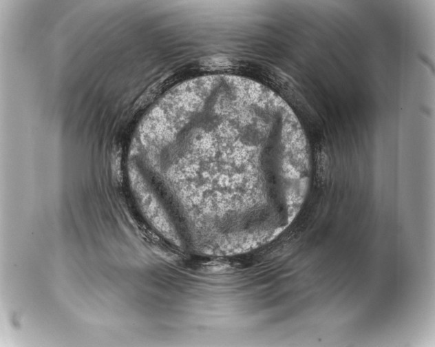 X0000102280267200808151935
