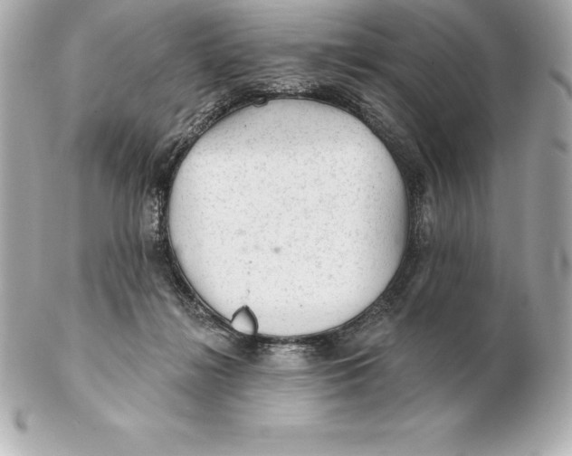 X0000102280268200808151935