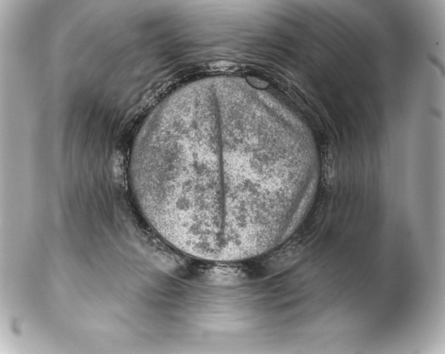 X0000102280270200808151935