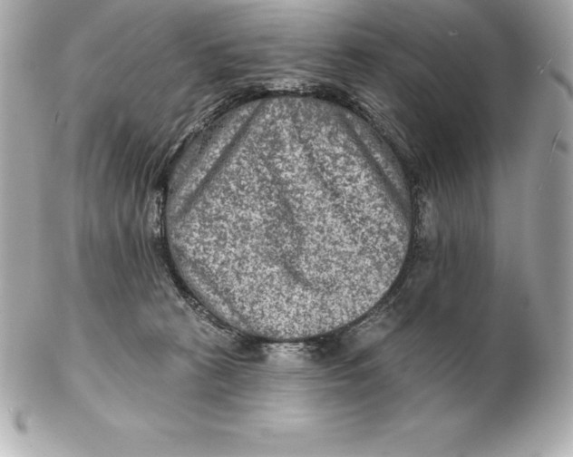 X0000102280273200808151935