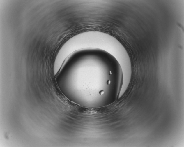 X0000102280276200808151935