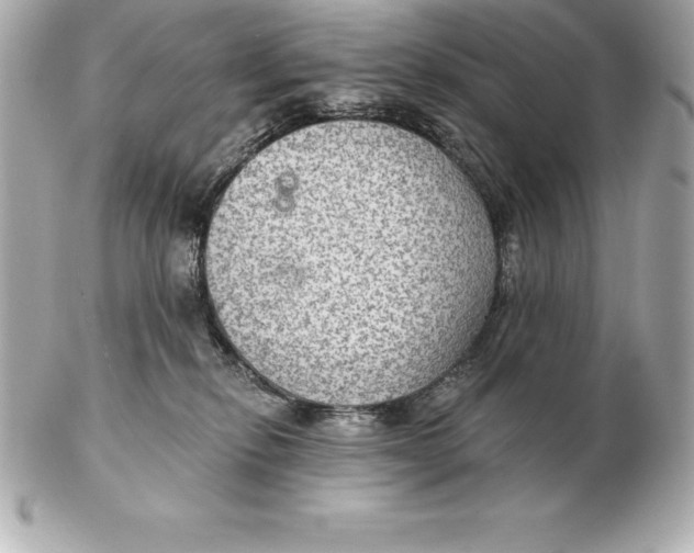 X0000102280278200808151935