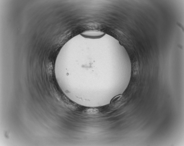 X0000102280279200808151935