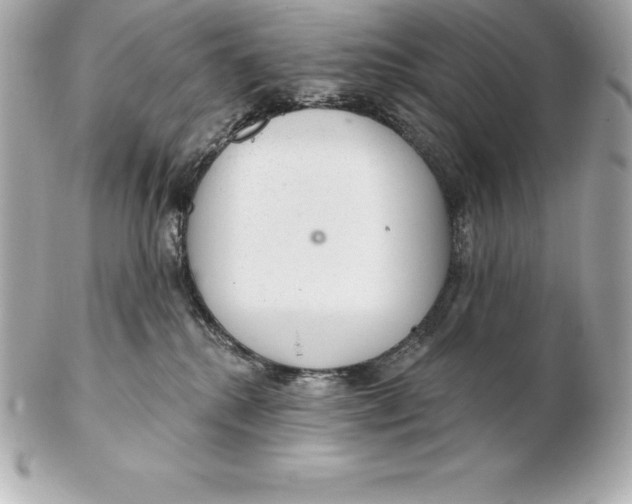 X0000102280280200808151935