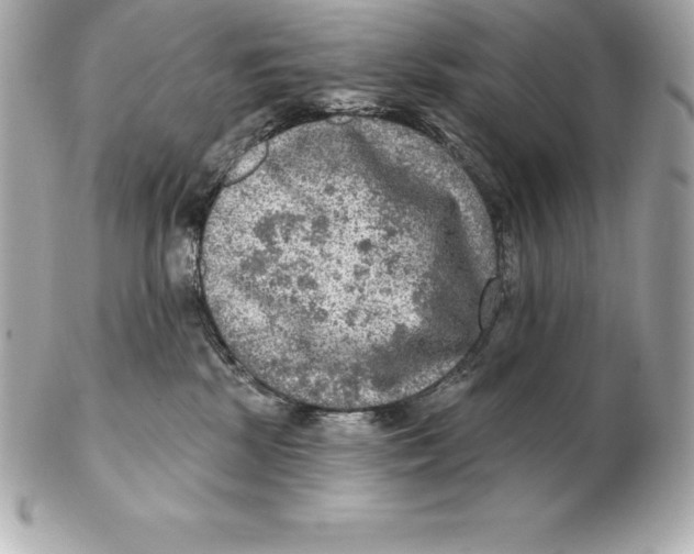 X0000102280281200808151935