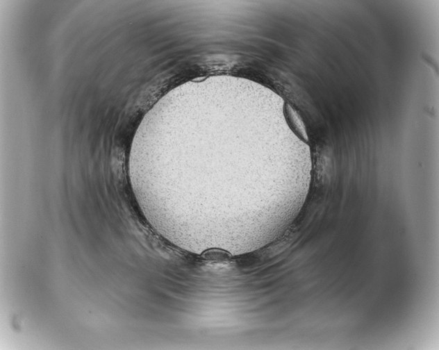 X0000102280283200808151935