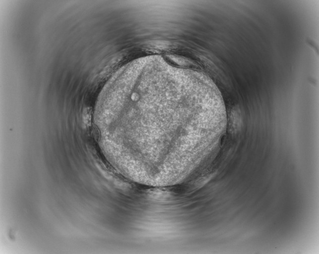 X0000102280284200808151935