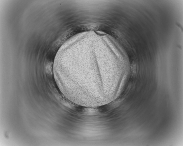 X0000102280286200808151935