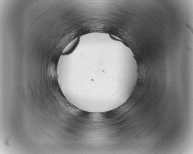 X0000102280287200808151935