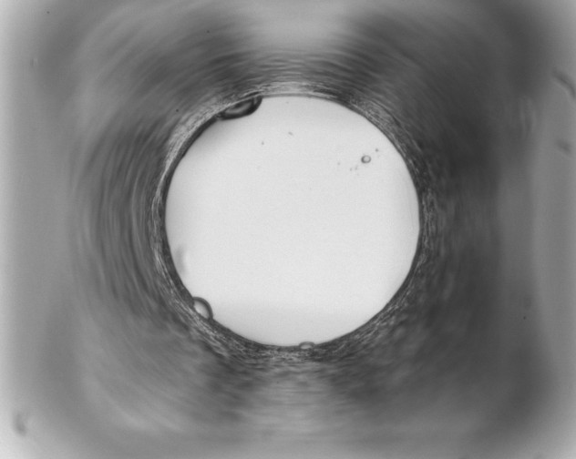 X0000102280289200808151935
