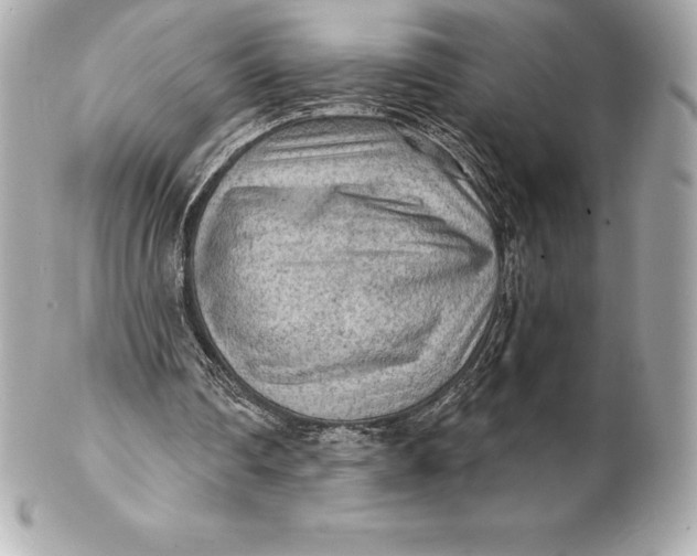 X0000102280290200808151935