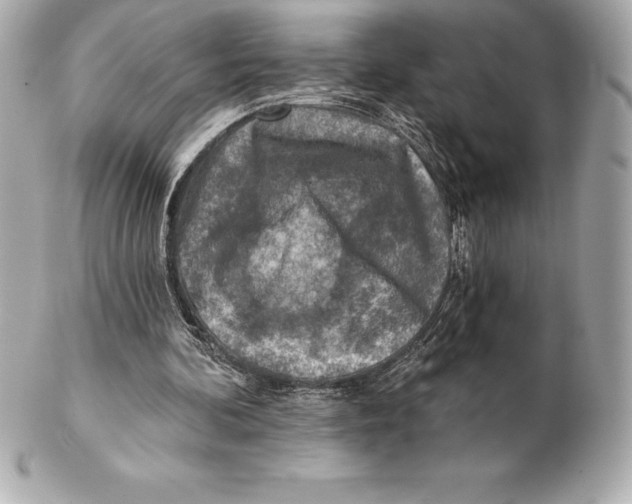 X0000102280292200808151935