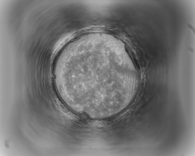 X0000102280293200808151935