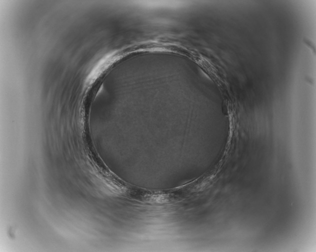X0000102280295200808151935