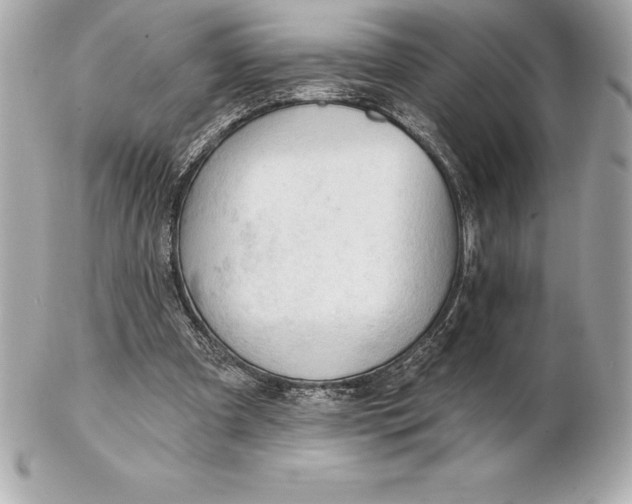 X0000102280297200808151935
