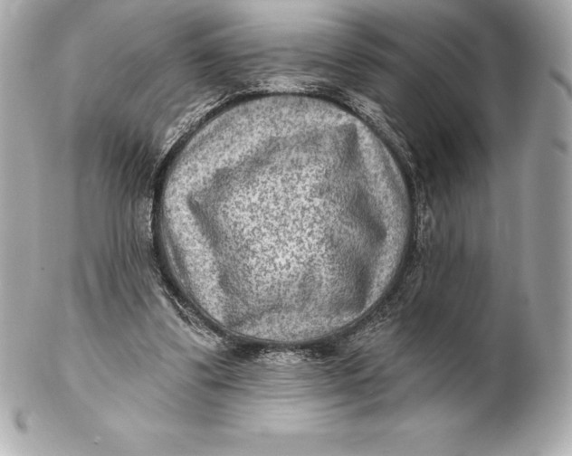 X0000102280299200808151935