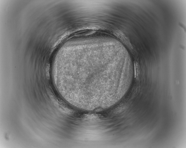 X0000102280300200808151935
