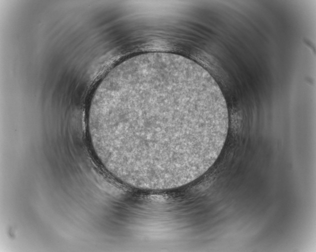X0000102280302200808151935
