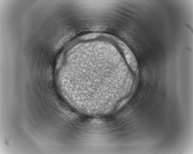 X0000102280303200808151935